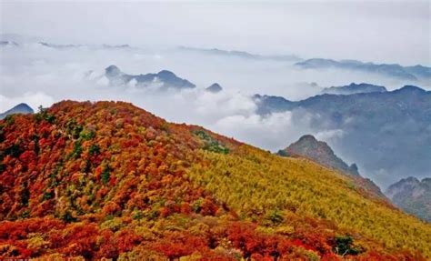 垣曲 历山|历山风景区